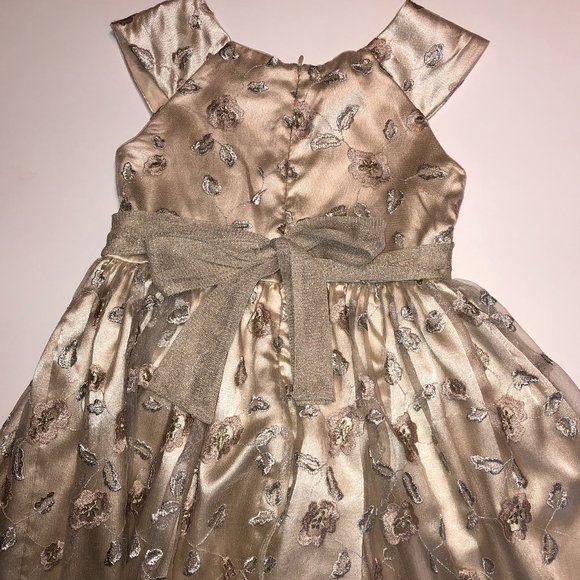 Sz 8 Jenny & Me Embroidered Floral Champagne Dress Flower Girl First Communion - Picture 11 of 15